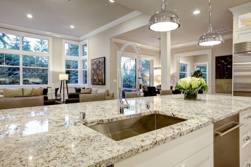 Elegant Kitchen Remodel